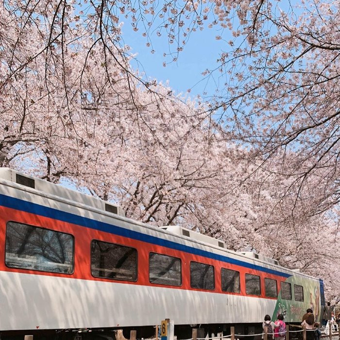 10 địa điểm du lịch Hàn Quốc