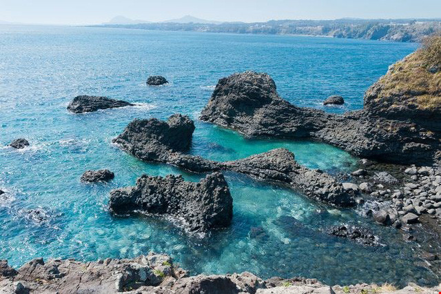 Alt: Khung cảnh mùa thu lãng mạn trên đảo Jeju với những hàng cây lá vàng rực rỡ. Thời tiết se lạnh, lý tưởng cho các chuyến du lịch khám phá.