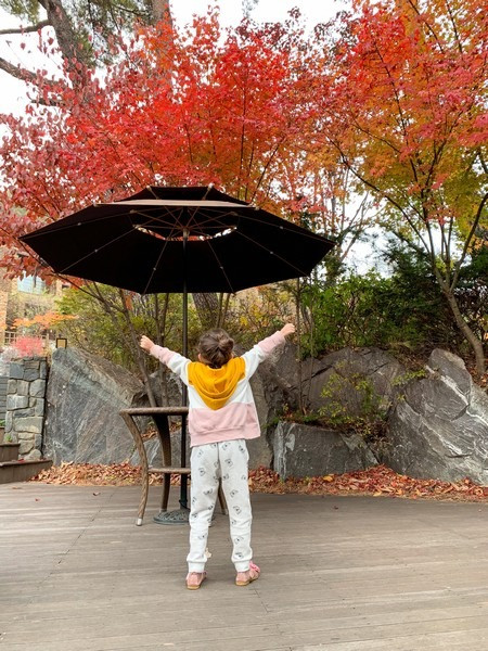 Bàn ghế quán cà phê Resom Forest