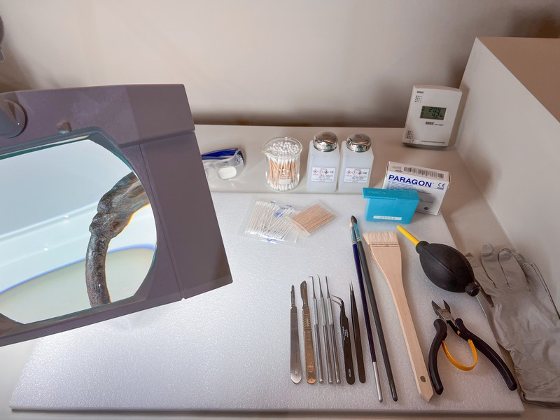 Các công cụ và kỹ thuật bảo quản được trưng bày