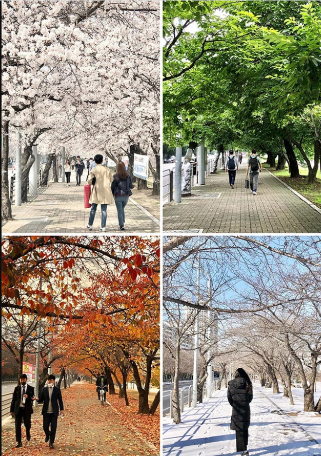 Cẩm nang du lịch Hàn Quốc – Ẩm thực