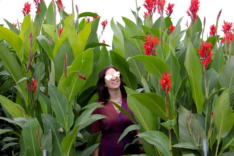 Cảnh quan tại Công viên Nari, Seoul