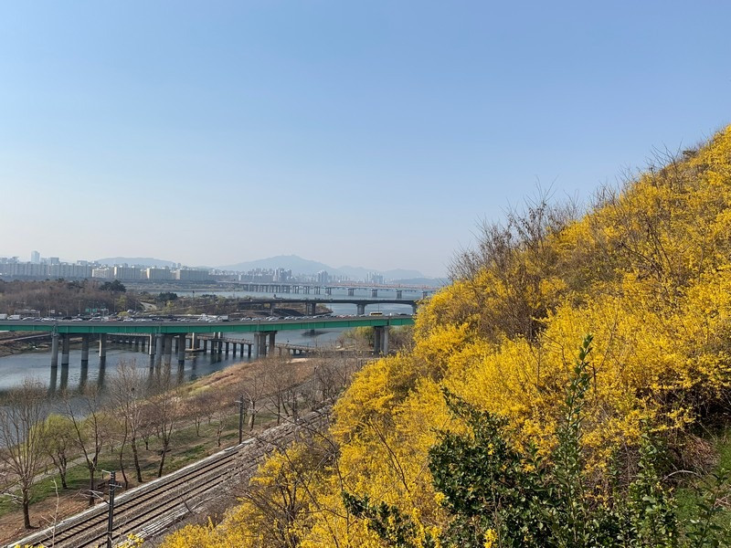 Cầu thang gỗ dẫn lên núi Eungbongsan, Seoul, Hàn Quốc