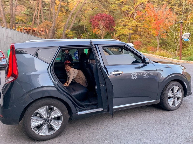 Cây cối xung quanh Resom Forest