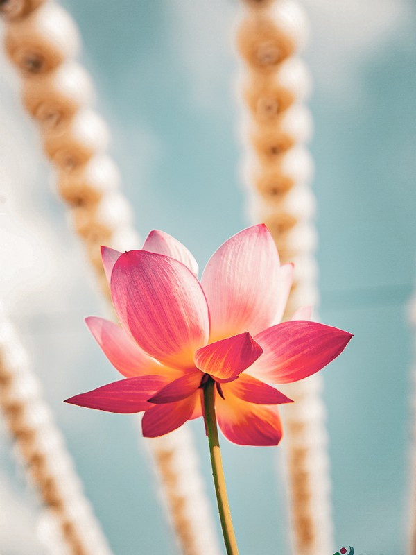 Chi tiết kiến trúc chùa Bongeunsa