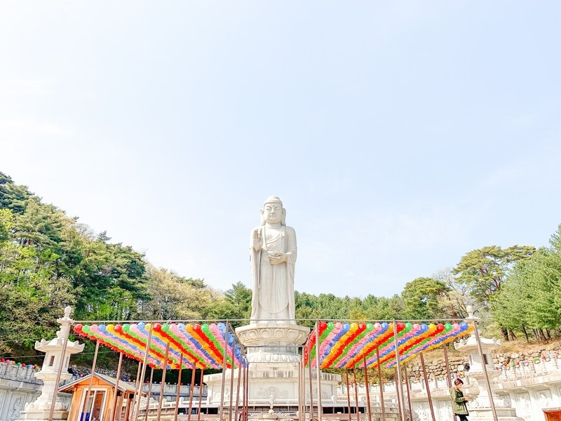 Cổng chùa Donghwasa, Daegu, Hàn Quốc