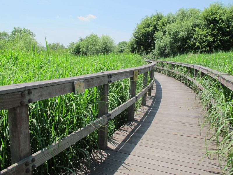 Công viên sinh thái Nanji, Nanji, Mapo-gu, Seoul, Hàn Quốc
