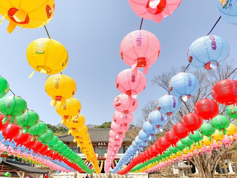 Khám Phá Vẻ Đẹp Chùa Donghwasa, Daegu Mùa Xuân