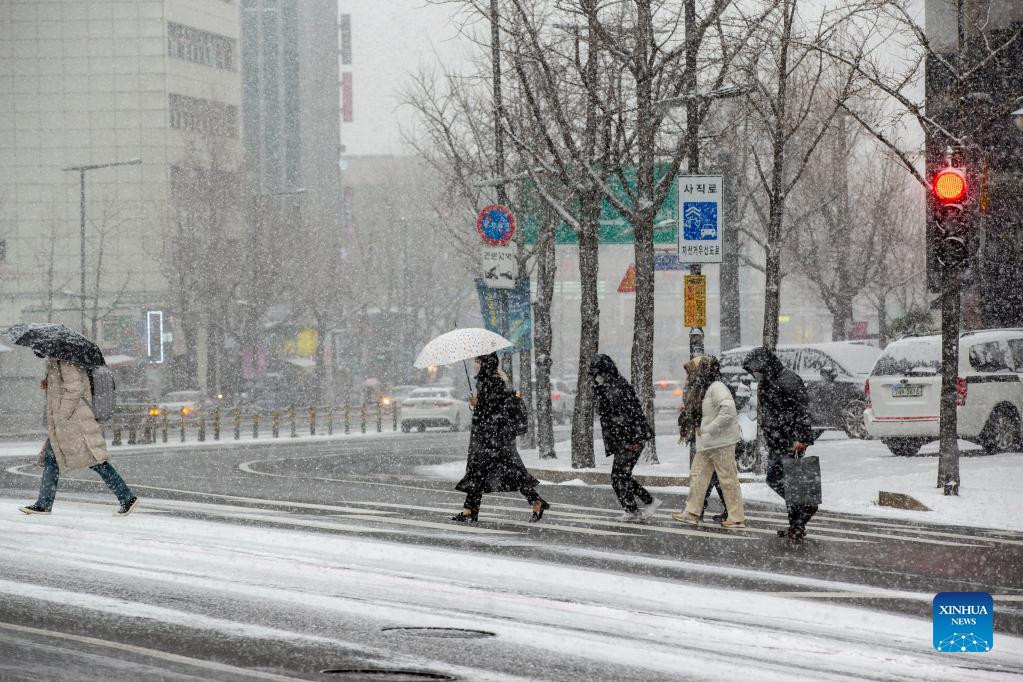 Đi bộ khi tuyết rơi là một trải nghiệm thú vị