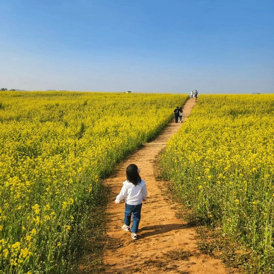 Đi dạo tại nông trại