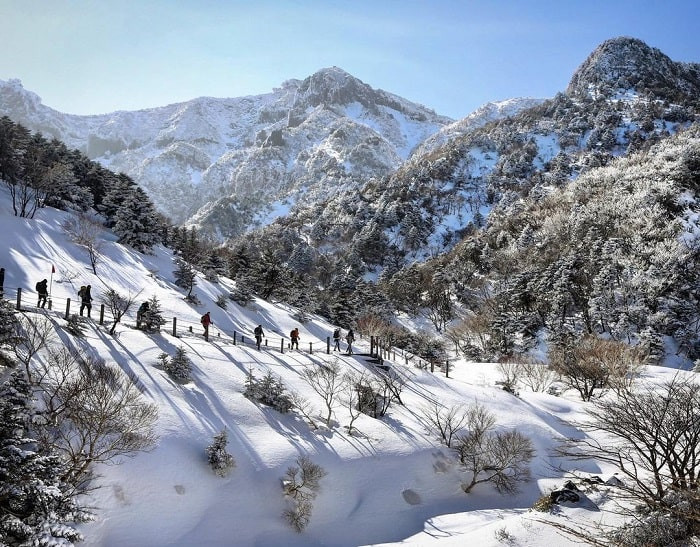 Đỉnh núi Hallasan phủ đầy tuyết trắng