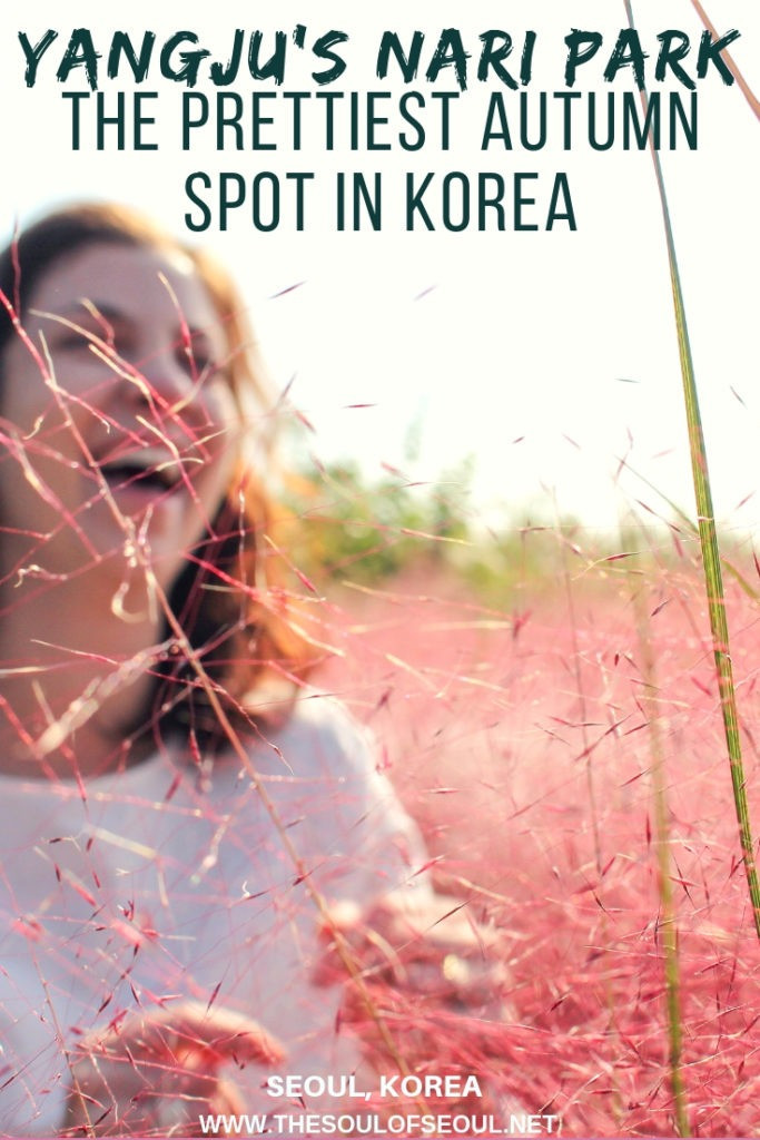 Hình ảnh quảng bá cho Công viên Nari Yangju