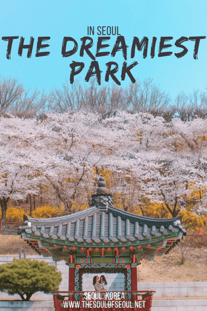 Hình ảnh quảng bá du lịch Dream Forest với khung cảnh mùa xuân tươi mát