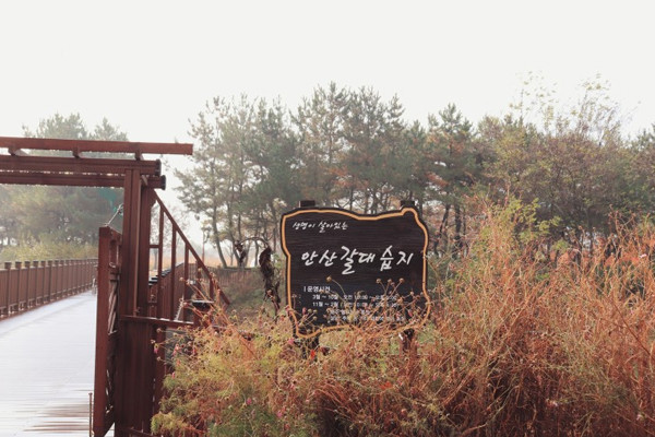 Hồ Sihwaho mang lại cảnh quan thiên nhiên binh yên cho nhu cầu nghỉ dưỡng