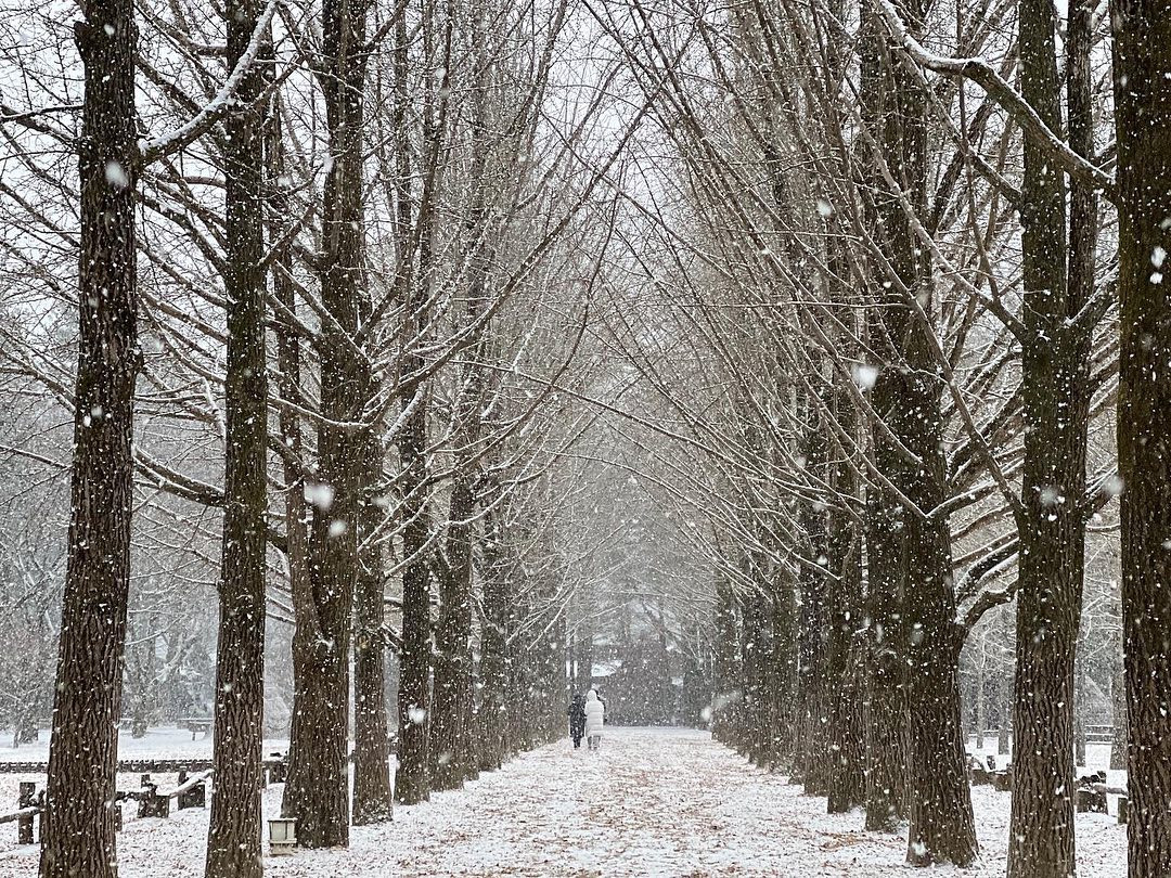 Hòn đảo “Bản tình ca mùa đông” lãng mạn hơn khi tuyết rơi