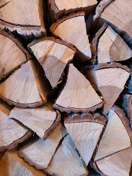 Lối đi trong Resom Forest