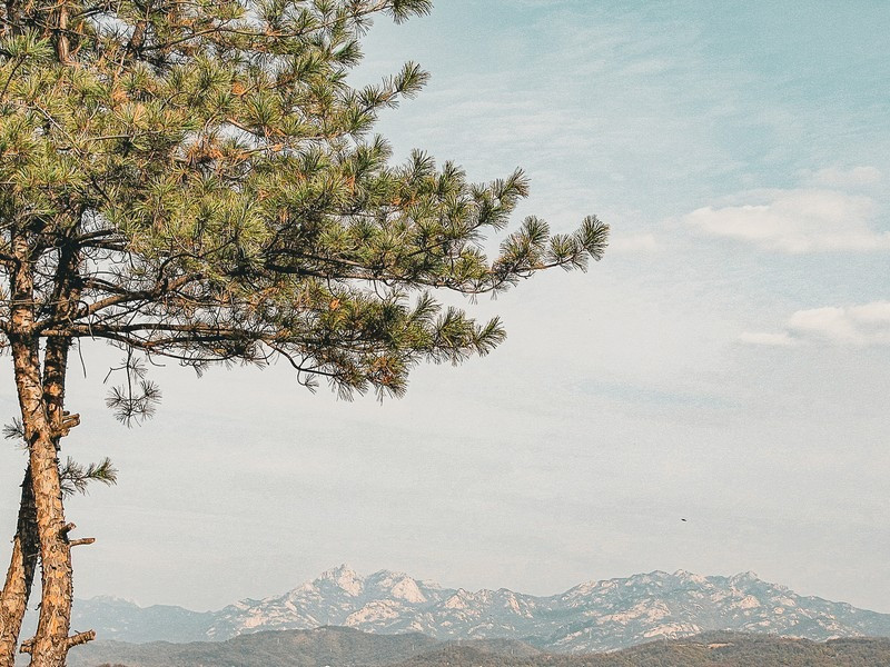 Một góc tường thành Hành Châu Sơn Thành