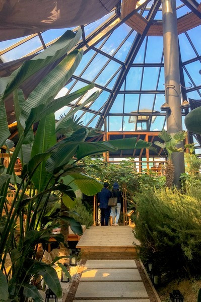 Quán cà phê Bilugae (비루개), quán cà phê nhà kính, Seoul, Hàn Quốc