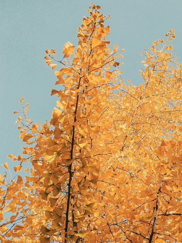 Tượng đài tưởng niệm chiến thắng tại Hành Châu Sơn Thành