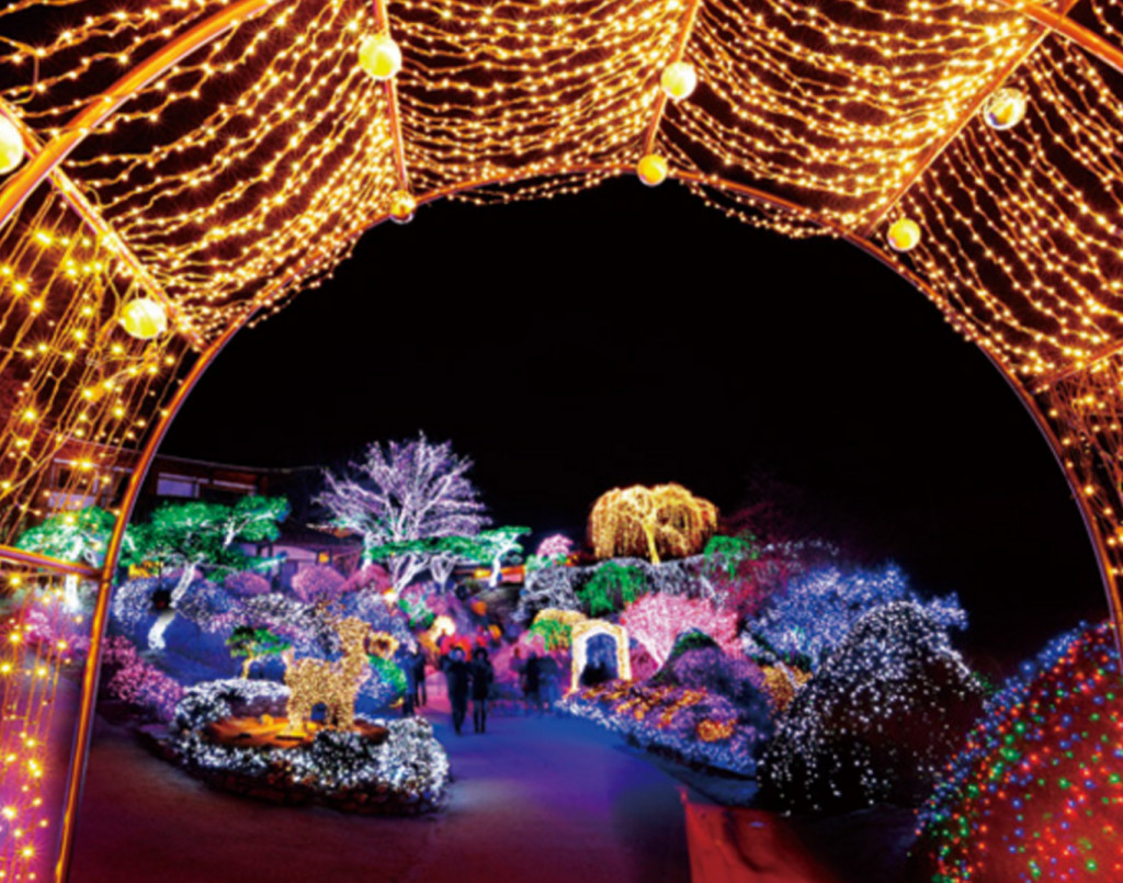 Vườn Yên Tĩnh Buổi Sáng